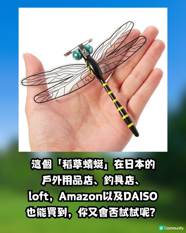 日本驅蟲神器 「稻草蜻蜓」爆賣200萬個！不含化學成分 背後原理竟是謎？