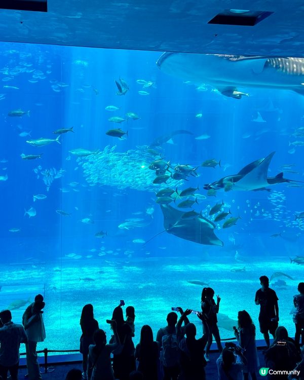美麗海水族館