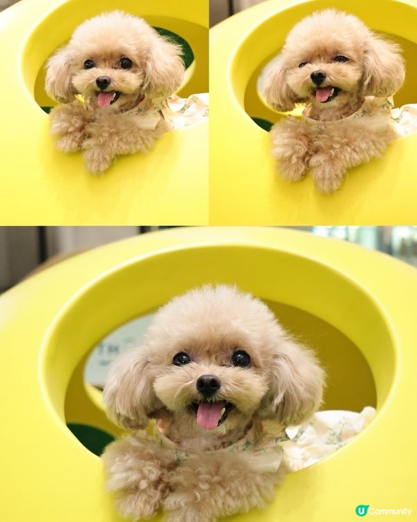 THE SOUTHSIDE 夏日打卡全攻略！