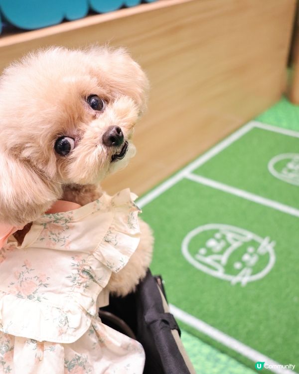 THE SOUTHSIDE 夏日打卡全攻略！