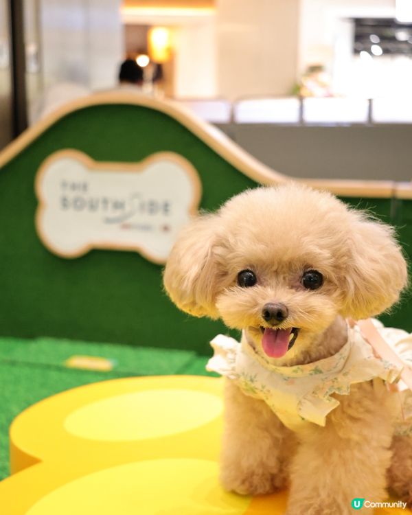 THE SOUTHSIDE 夏日打卡全攻略！