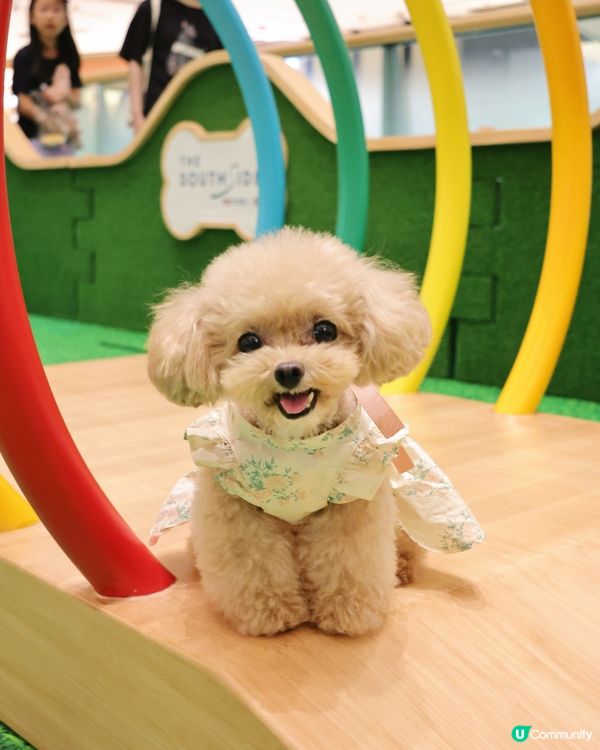 THE SOUTHSIDE 夏日打卡全攻略！