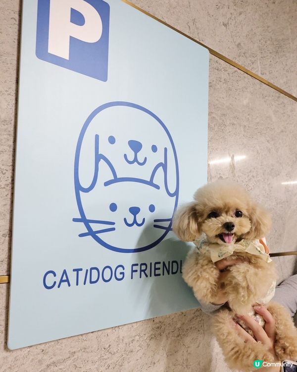 THE SOUTHSIDE 夏日打卡全攻略！