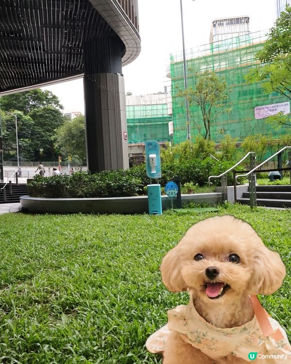 THE SOUTHSIDE 夏日打卡全攻略！