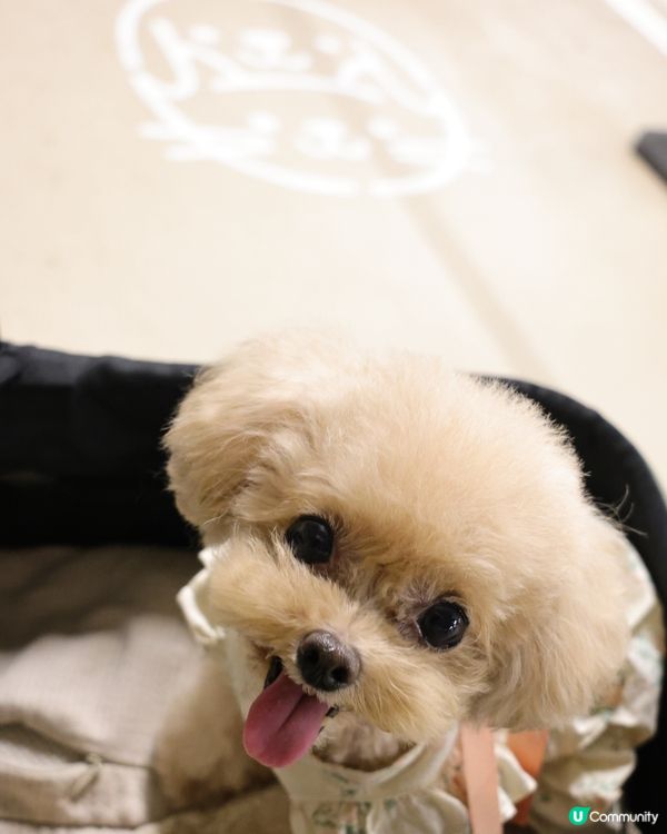 THE SOUTHSIDE 夏日打卡全攻略！