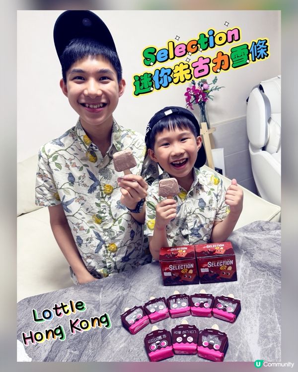 Selection 迷你朱古力雪條