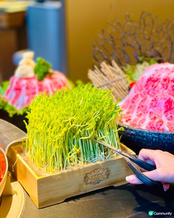 𓂃.𓈒太古𓎏ෆ.ᐟ台式火鍋茶飲店二合一𓈒𓂃.