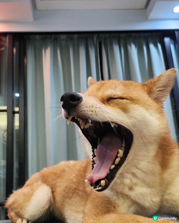 1.  中電幫你慳電💰！每日用電量一目了然👀，仲有獎賞🎁！