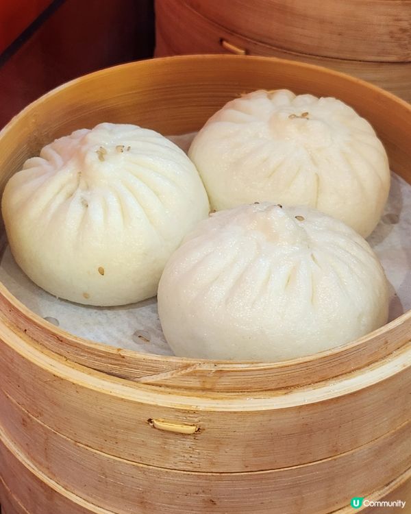 即包即蒸包子🧆