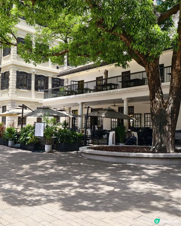 假日好去處🎨🐉大館免費看展覽