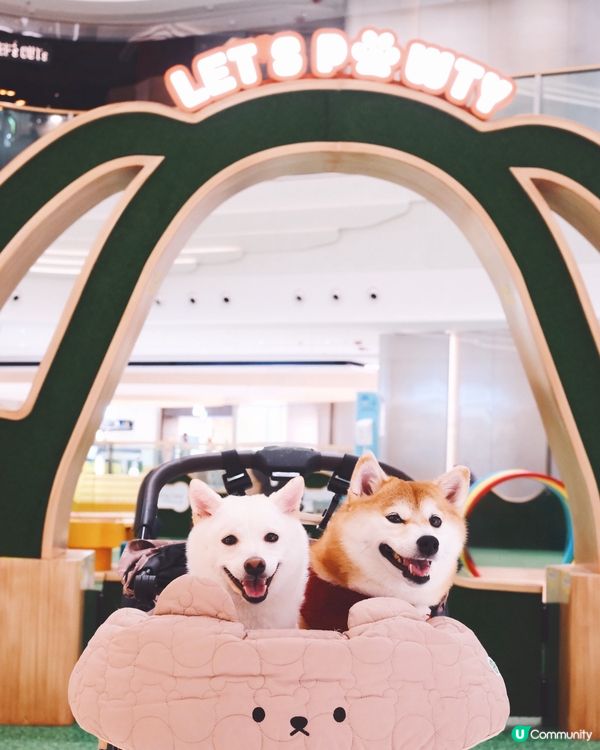 1. 港島好去處！室內戶外都啱玩🥳 狗狗都咁開心！🐶