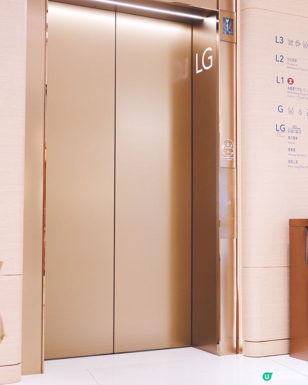 1. 港島好去處！室內戶外都啱玩🥳 狗狗都咁開心！🐶