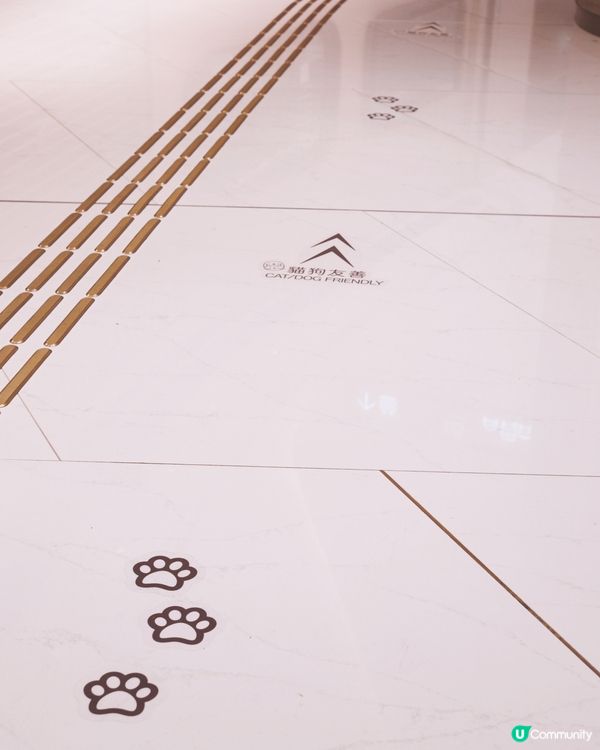 1. 港島好去處！室內戶外都啱玩🥳 狗狗都咁開心！🐶