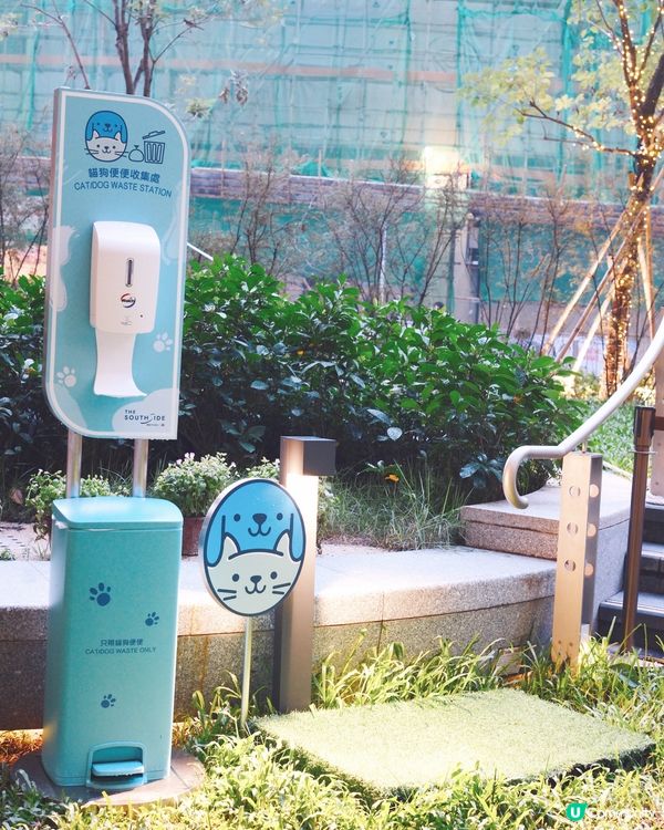 1. 港島好去處！室內戶外都啱玩🥳 狗狗都咁開心！🐶