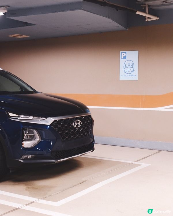 1. 港島好去處！室內戶外都啱玩🥳 狗狗都咁開心！🐶