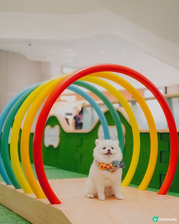 THE SOUTHSIDE為大家帶嚟SUMMER PAWTY