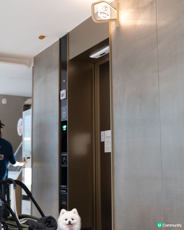 THE SOUTHSIDE為大家帶嚟SUMMER PAWTY