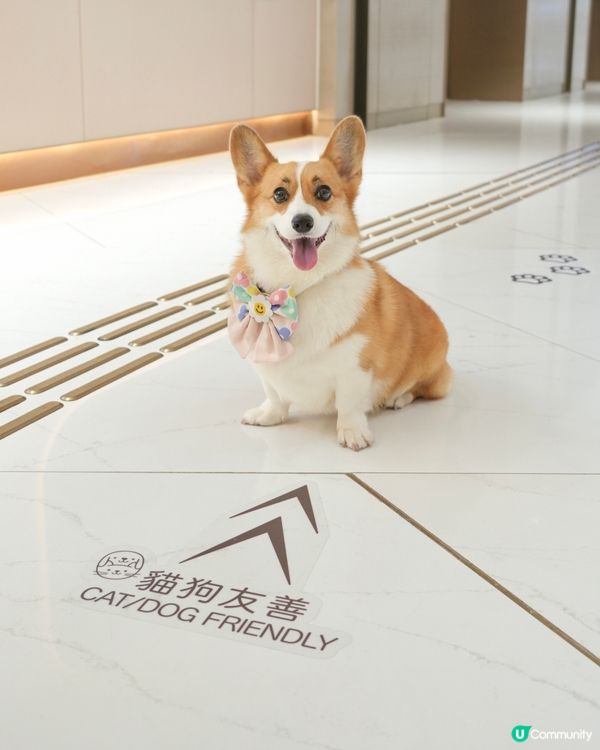 夏日好去處•ﻌ•