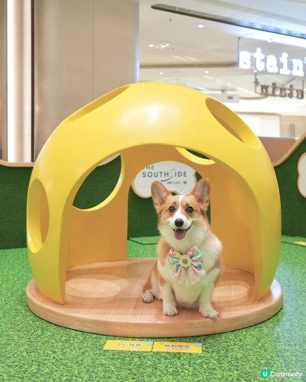 夏日好去處•ﻌ•