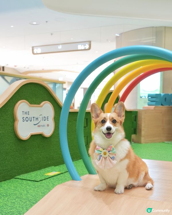 夏日好去處•ﻌ•