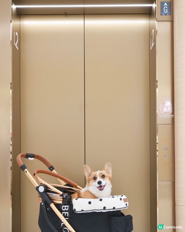 夏日好去處•ﻌ•