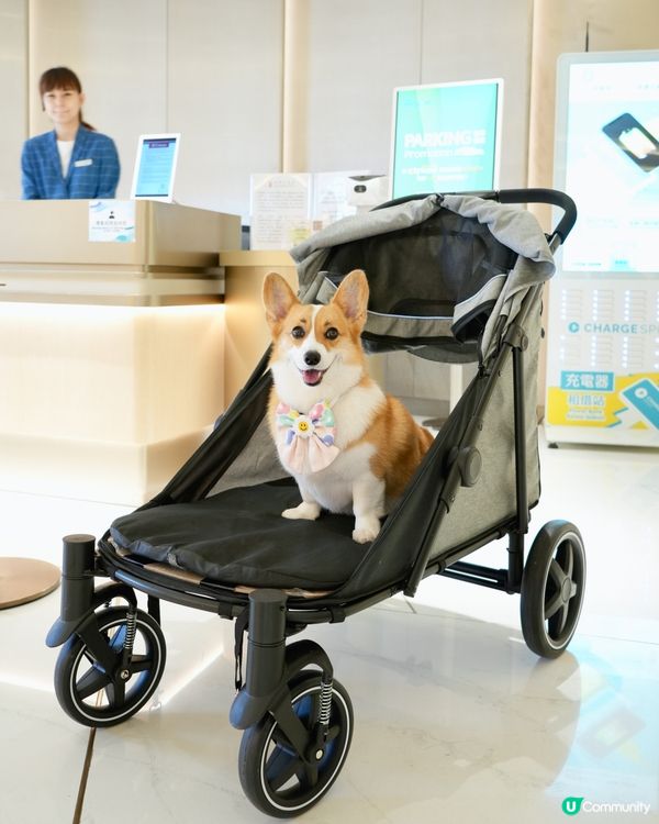 夏日好去處•ﻌ•