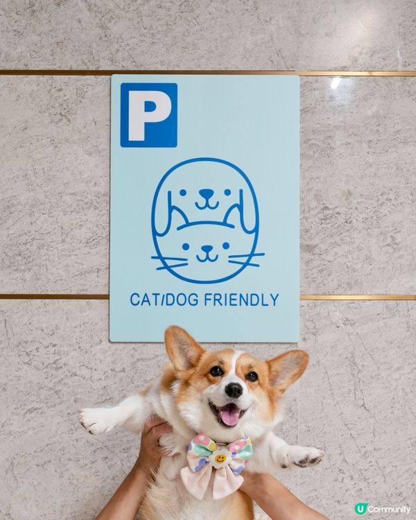 夏日好去處•ﻌ•