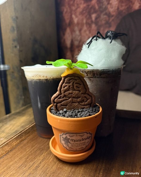 🇰🇷韓國弘大咖啡廳☕超夢幻哈利波特主題