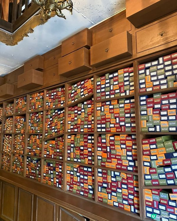 🇰🇷韓國弘大咖啡廳☕超夢幻哈利波特主題