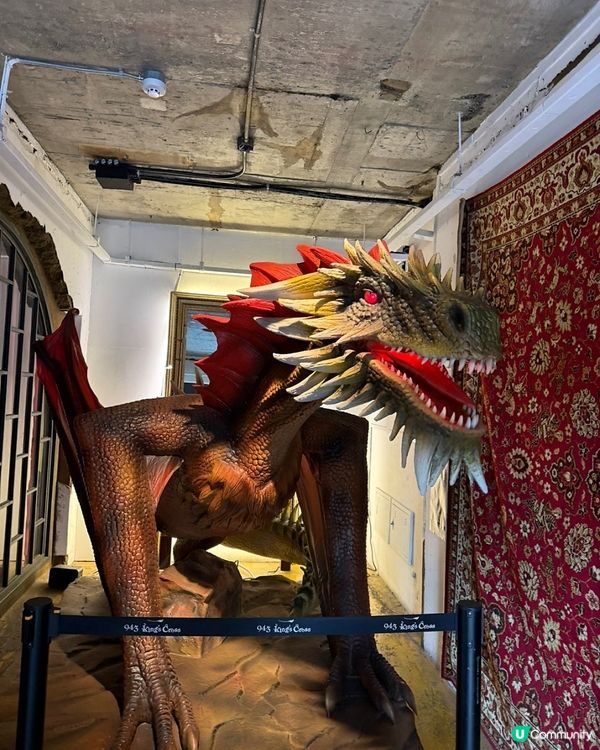 🇰🇷韓國弘大咖啡廳☕超夢幻哈利波特主題