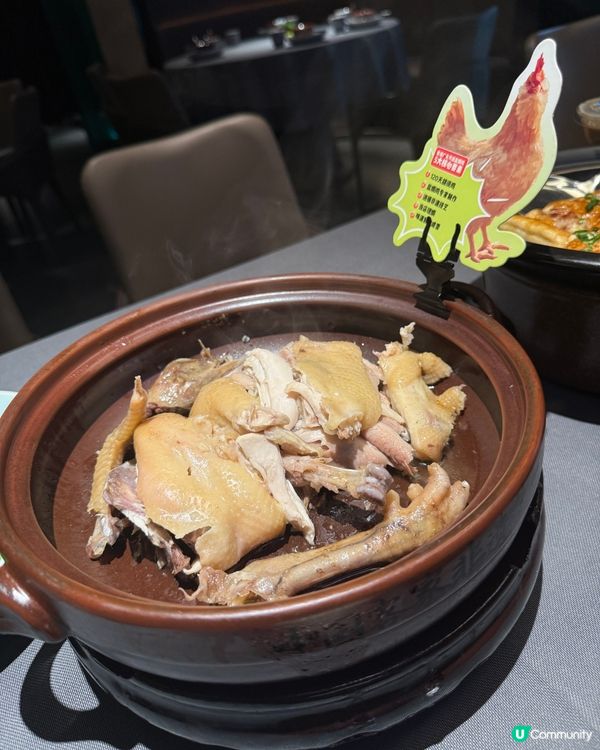 🏮金光華廣場🇨🇳 - 客語客家菜