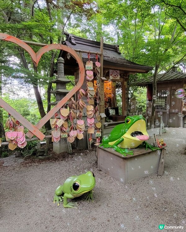 🐸 日本青蛙寺 🐸