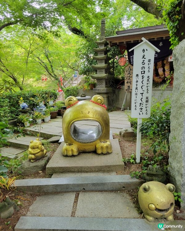 🐸 日本青蛙寺 🐸