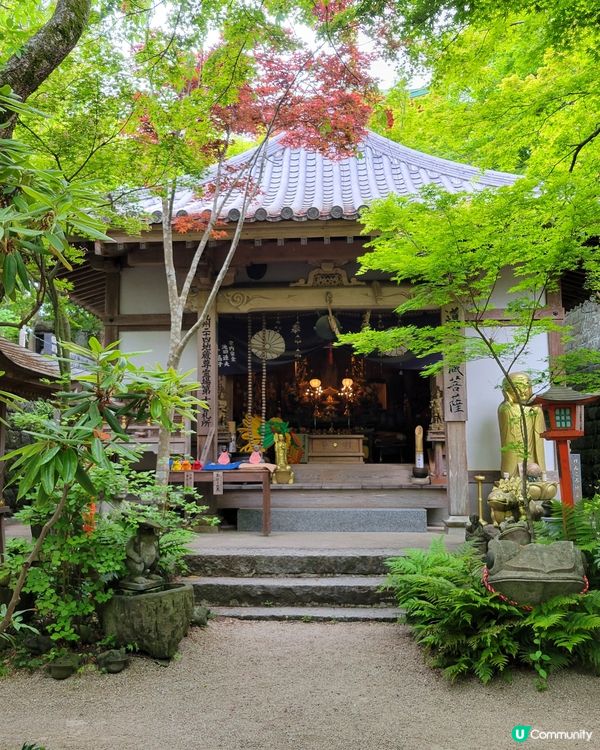 🐸 日本青蛙寺 🐸