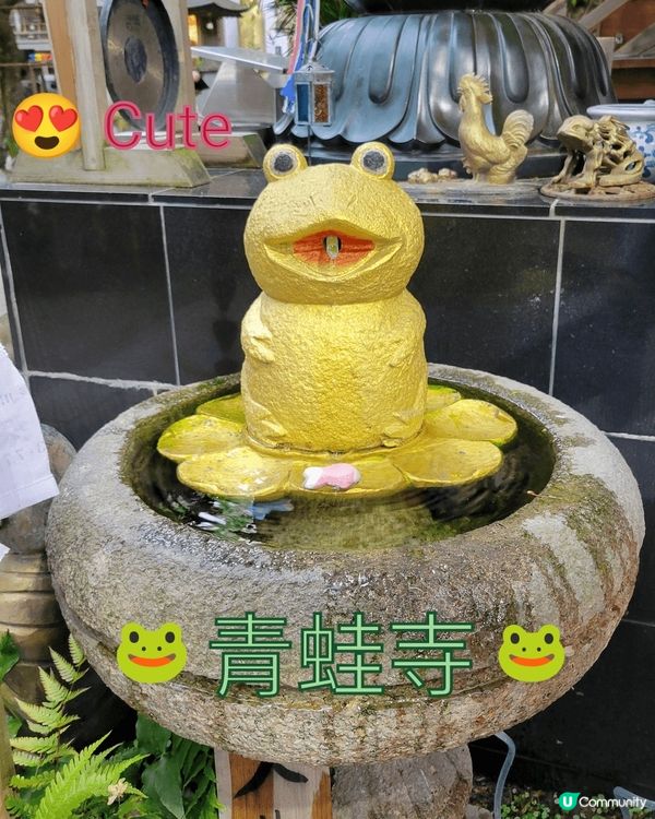 🐸 日本青蛙寺 🐸