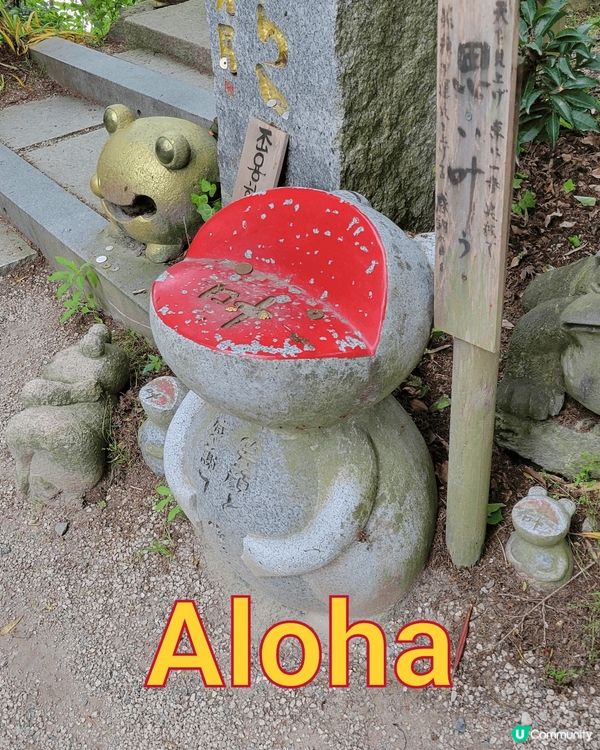 🐸 日本青蛙寺 🐸