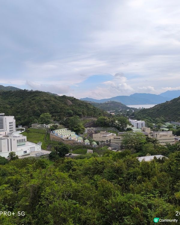 大欖郊野公園近近地短短地又行下