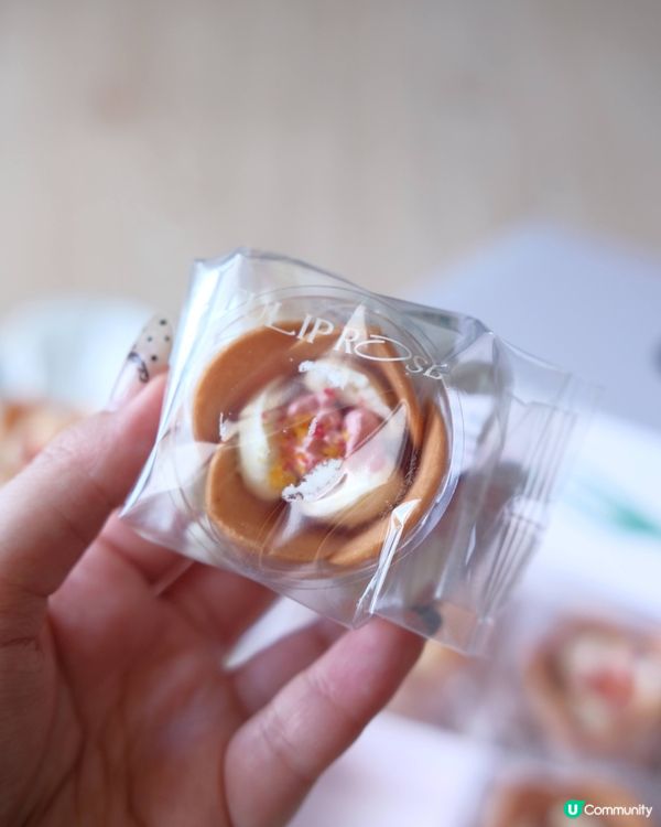 【#思思賢嘆世界】少女心爆發！白桃鬱金香🌸！