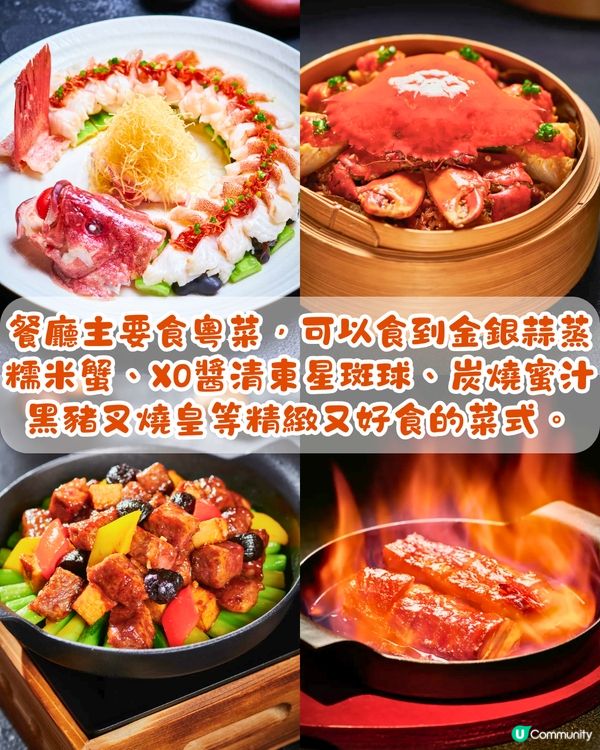珠海點心放題推介😋每位¥168任食3個鐘‼️ 6歲以下小童免費～必點黑松露鮮蝦燒賣 / 石鍋臘肉炒飯 / 酸菜魚