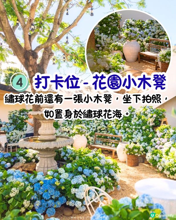 深圳繡球花咖啡店😍用上真花佈置5大打卡位！打造浪漫南法露天花園～