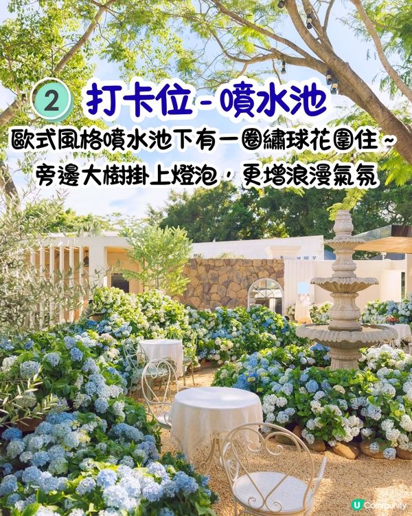 深圳繡球花咖啡店😍用上真花佈置5大打卡位！打造浪漫南法露天花園～