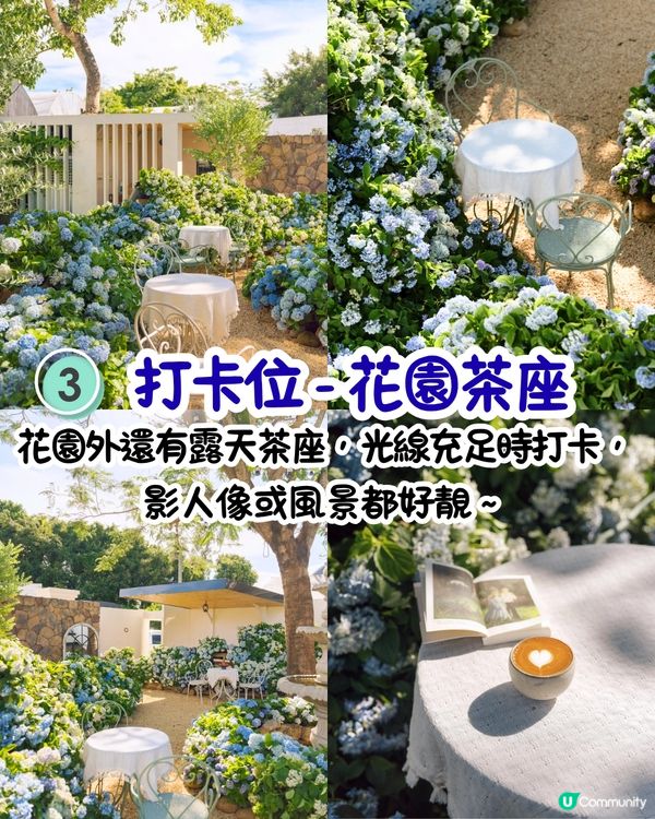 深圳繡球花咖啡店😍用上真花佈置5大打卡位！打造浪漫南法露天花園～