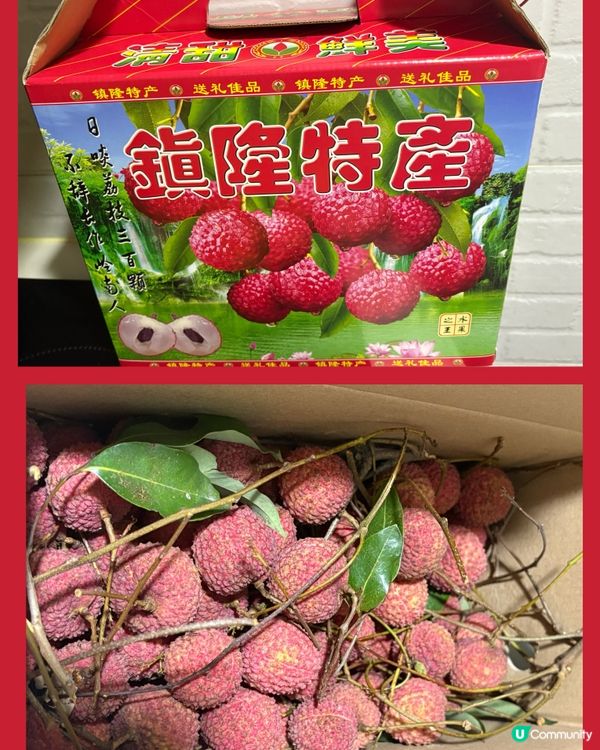 荔枝當造粒粒清甜😋雪凍更好味