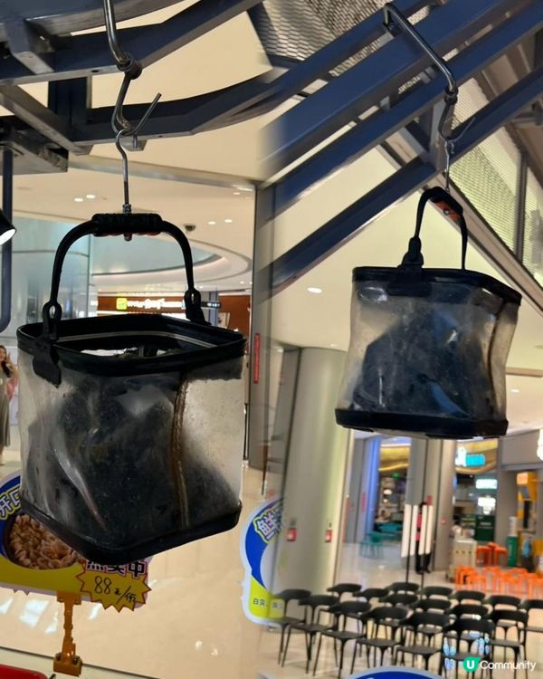 深圳食海鮮世一