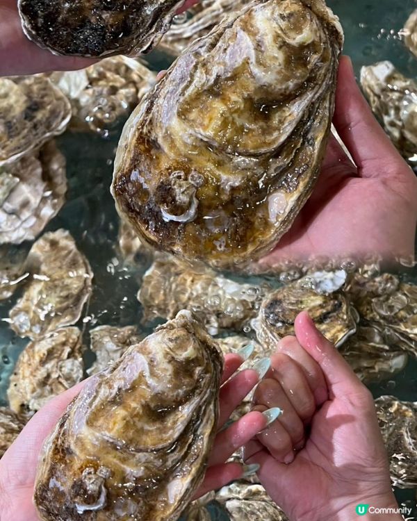 深圳食海鮮世一