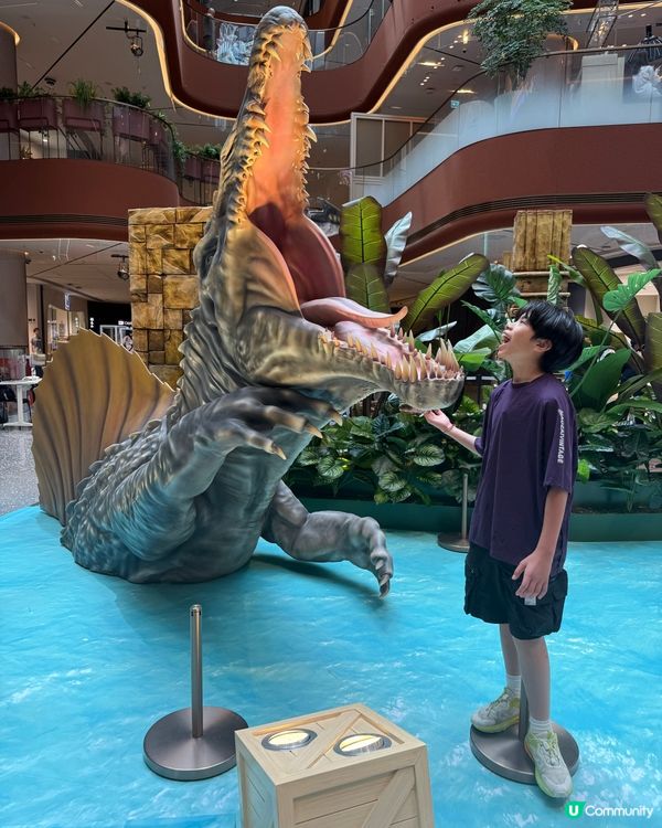 侏羅紀世界重生！🦖豆豆哥哥恐龍迷必去！