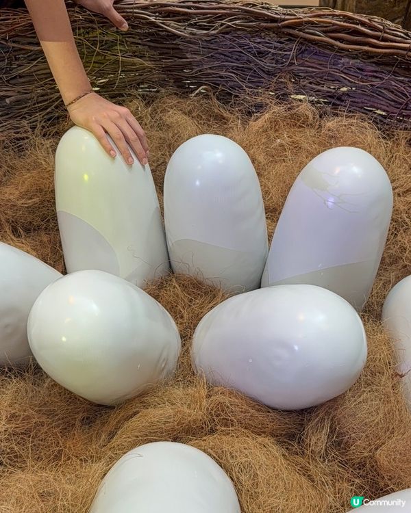 侏羅紀世界重生！🦖豆豆哥哥恐龍迷必去！