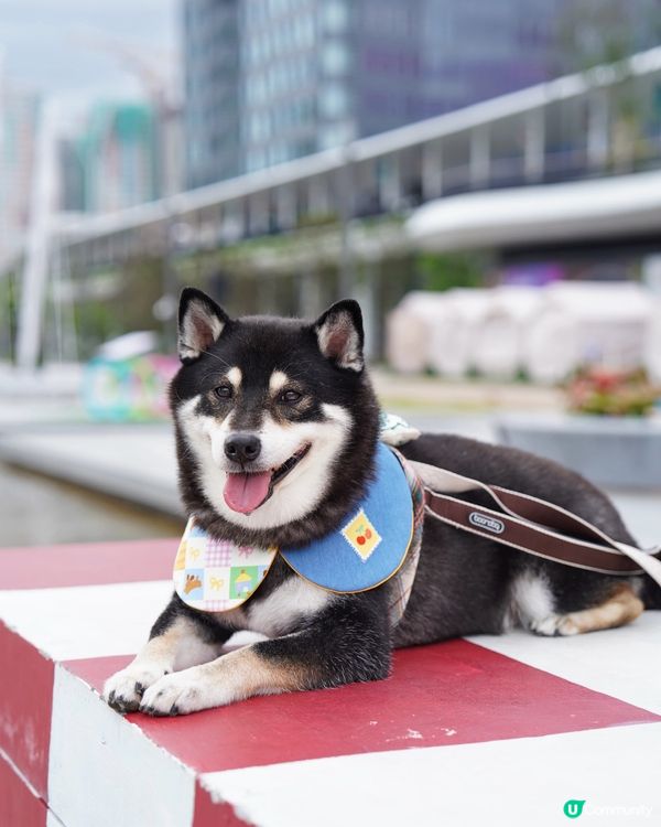 休閒日～啟德海濱花園散散步