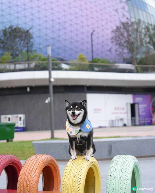 休閒日～啟德海濱花園散散步