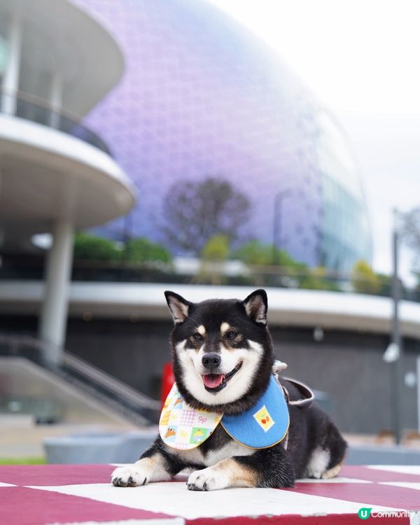 休閒日～啟德海濱花園散散步